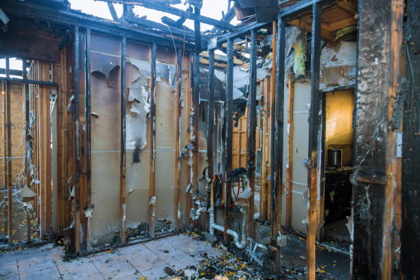 Professional Fire Damage Removal technician working in Fruitland, MD